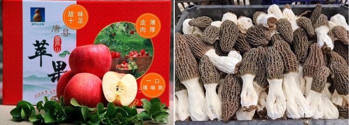 VIP888·(中国大陆)官方网站